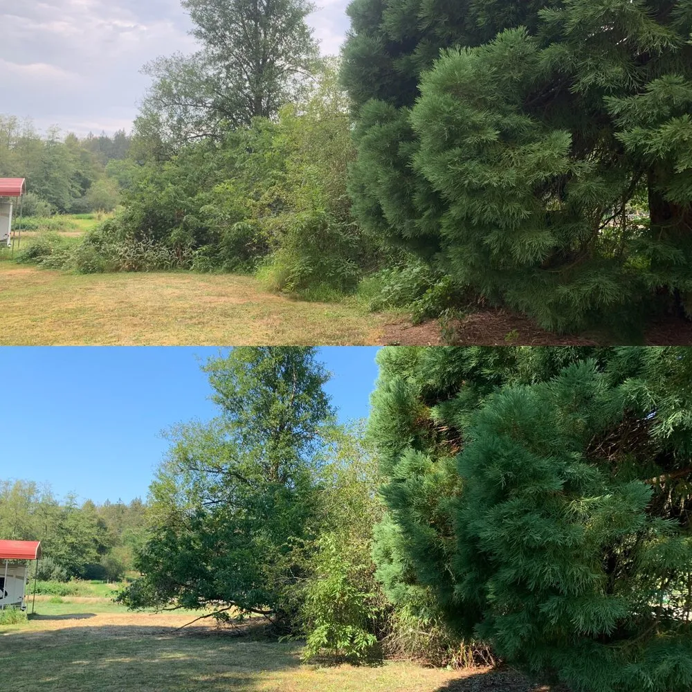 Custom lawn care service experts serving Deming, WA - Happy Path Farms