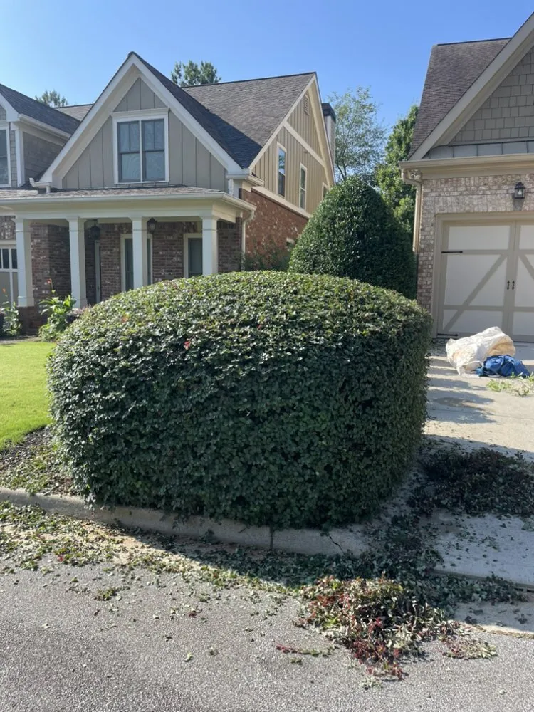 Affordable yard cleanup service experts serving Kennesaw, GA - Happy Planet Landscaping