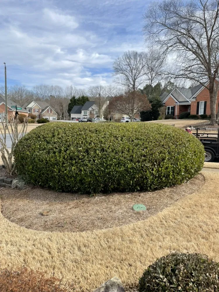 Professional outdoor landscaping for year-round maintenance in Kennesaw, GA by Happy Planet Landscaping