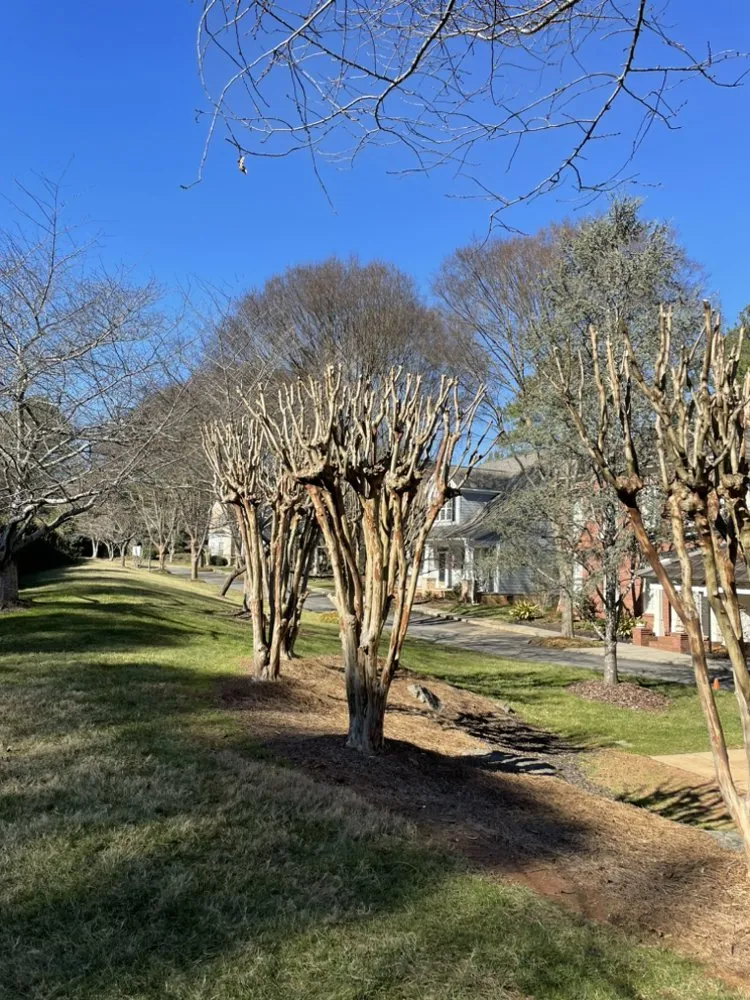 Reliable yard maintenance in Kennesaw, GA - Happy Planet Landscaping