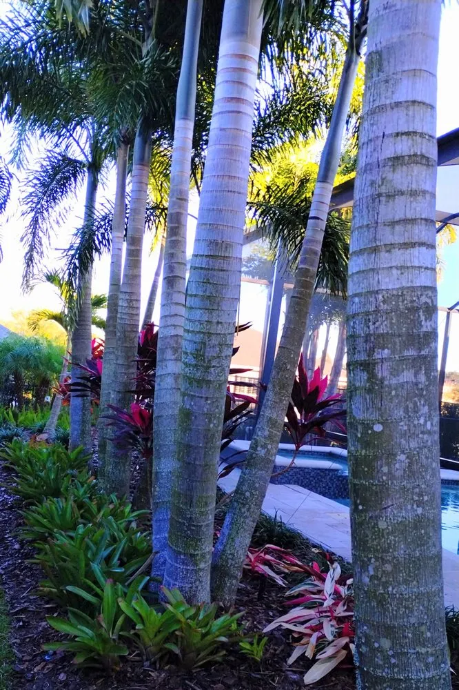 Custom residential landscaping with custom design across St. Petersburg, FL - Happy Plants Private Gardening and Design