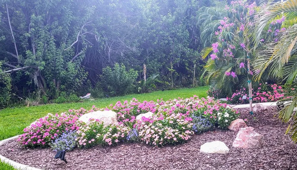 Custom yard maintenance in St. Petersburg, FL - Happy Plants Private Gardening and Design