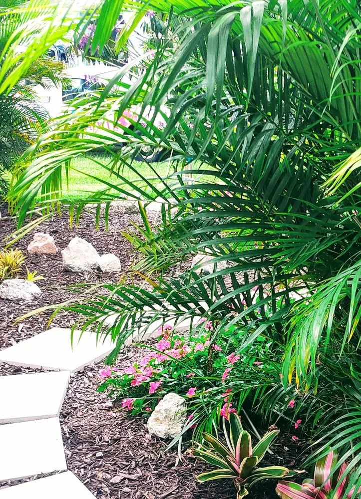 Affordable residential landscaping for year-round maintenance across St. Petersburg, FL - Happy Plants Private Gardening and Design