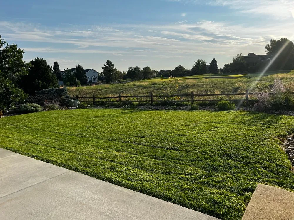 Affordable landscaping services in Henderson, CO by Happy Roots