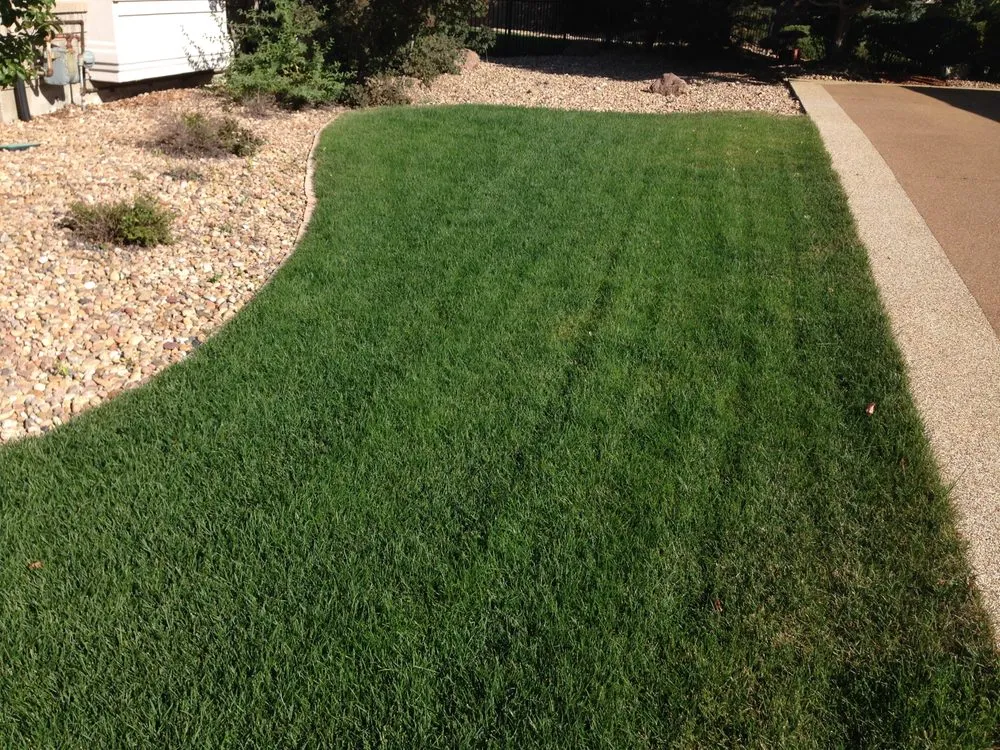Professional residential landscaping experts serving Henderson, CO - Happy Roots