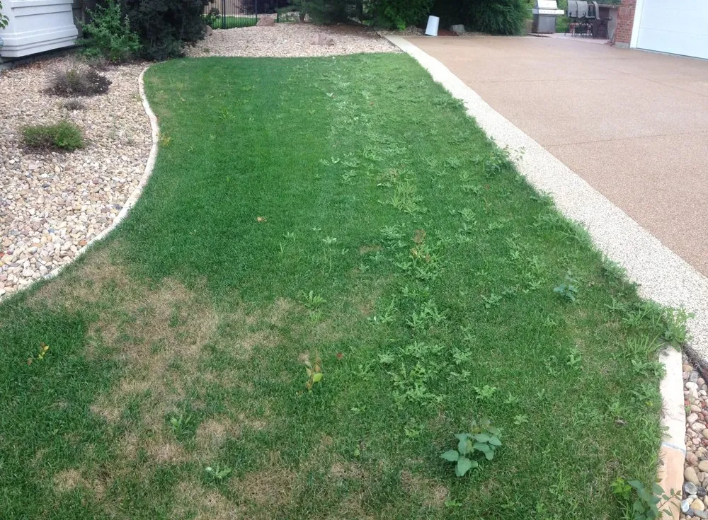 Top-rated landscape design in Henderson, CO by Happy Roots