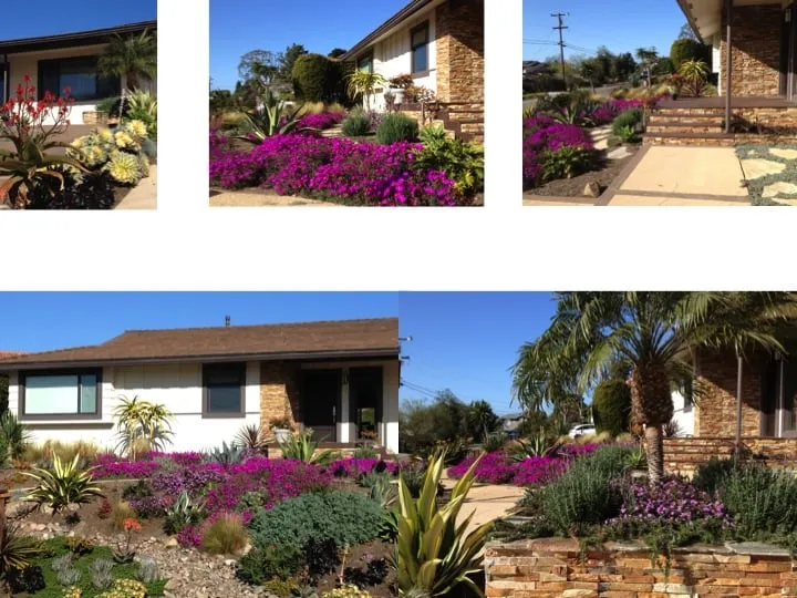 Trusted garden landscaping with custom design across La Jolla, CA - Happy Roots Landscape