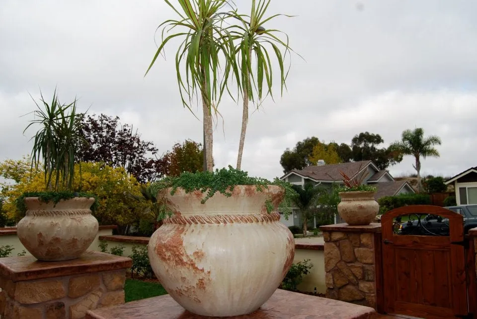 Affordable outdoor landscaping experts serving La Jolla, CA - Happy Roots Landscape