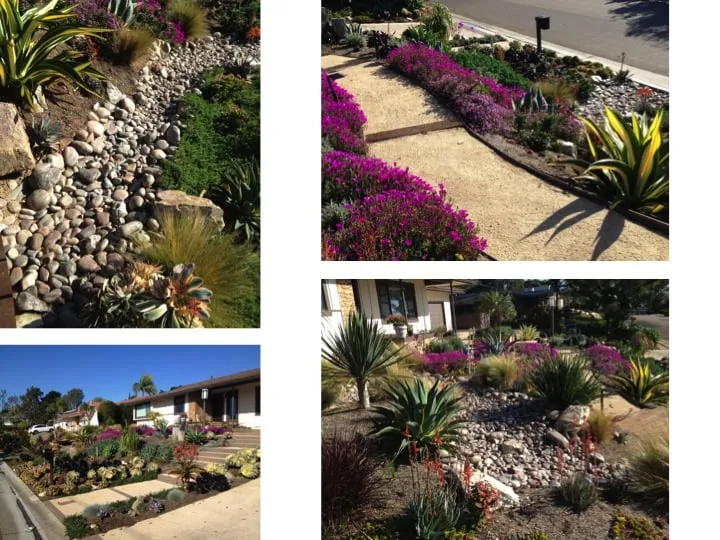 Professional landscaping services in La Jolla, CA by Happy Roots Landscape