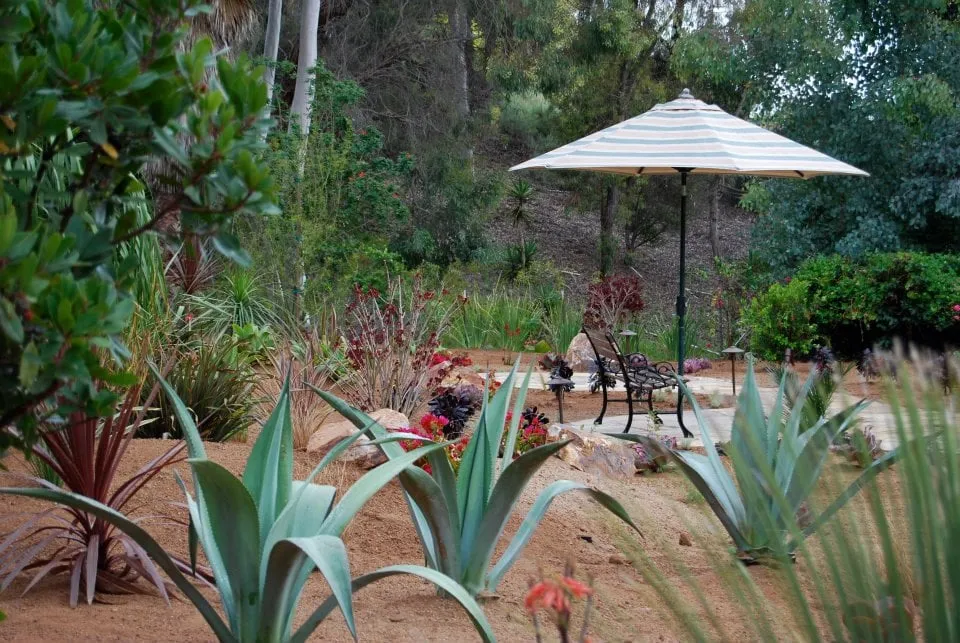 Expert lawn care service for year-round maintenance across La Jolla, CA - Happy Roots Landscape