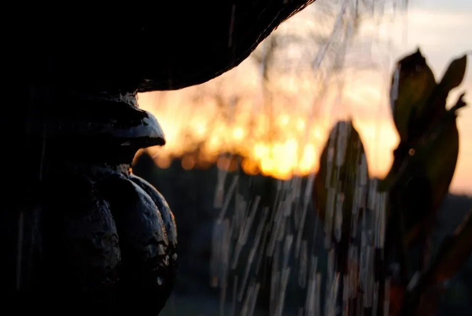 Affordable residential landscaping near you in La Jolla, CA by Happy Roots Landscape