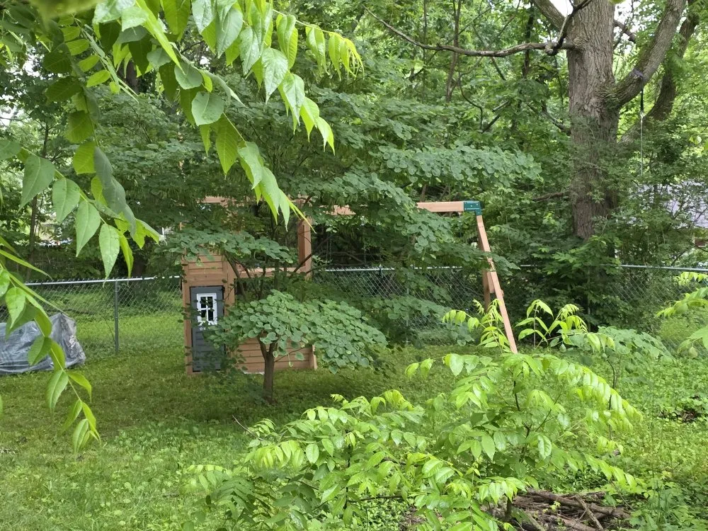 Custom residential landscaping in Franklin, IN - Happy To Help