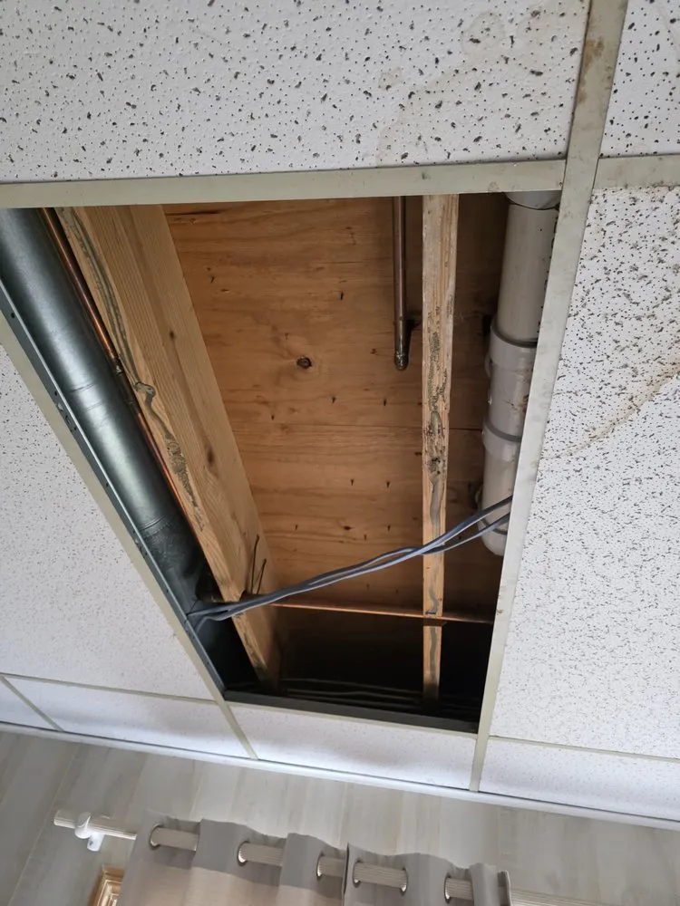 Local garden landscaping in Franklin, IN by Happy To Help