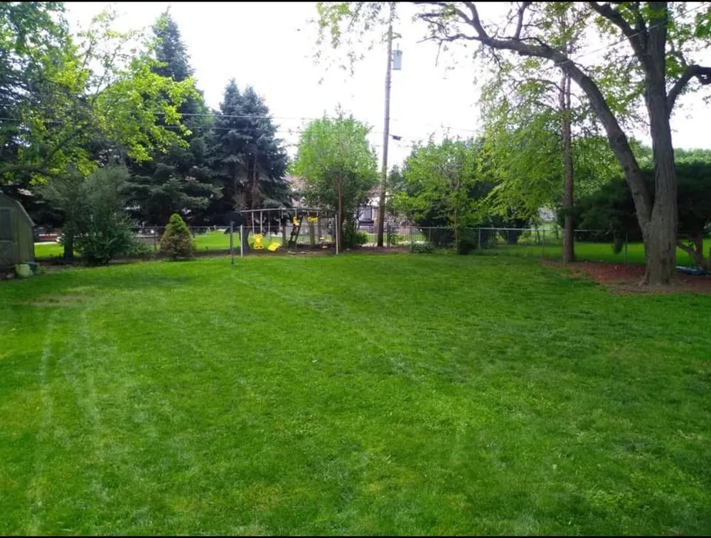 Local lawn mowing service for outdoor upgrades across Hadar, NE - Happy Toads