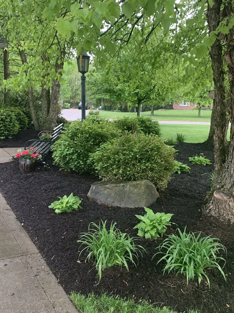 Expert yard cleanup service experts serving Indianapolis, IN - Happy Tree & Landscaping