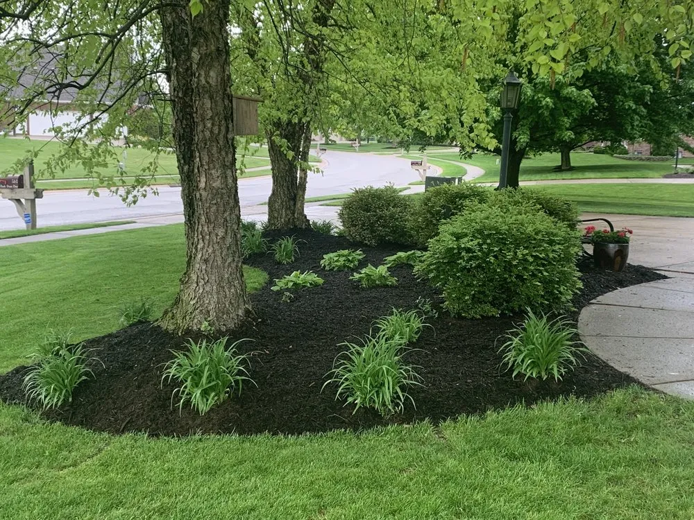 Expert lawn mowing service in Indianapolis, IN - Happy Tree & Landscaping