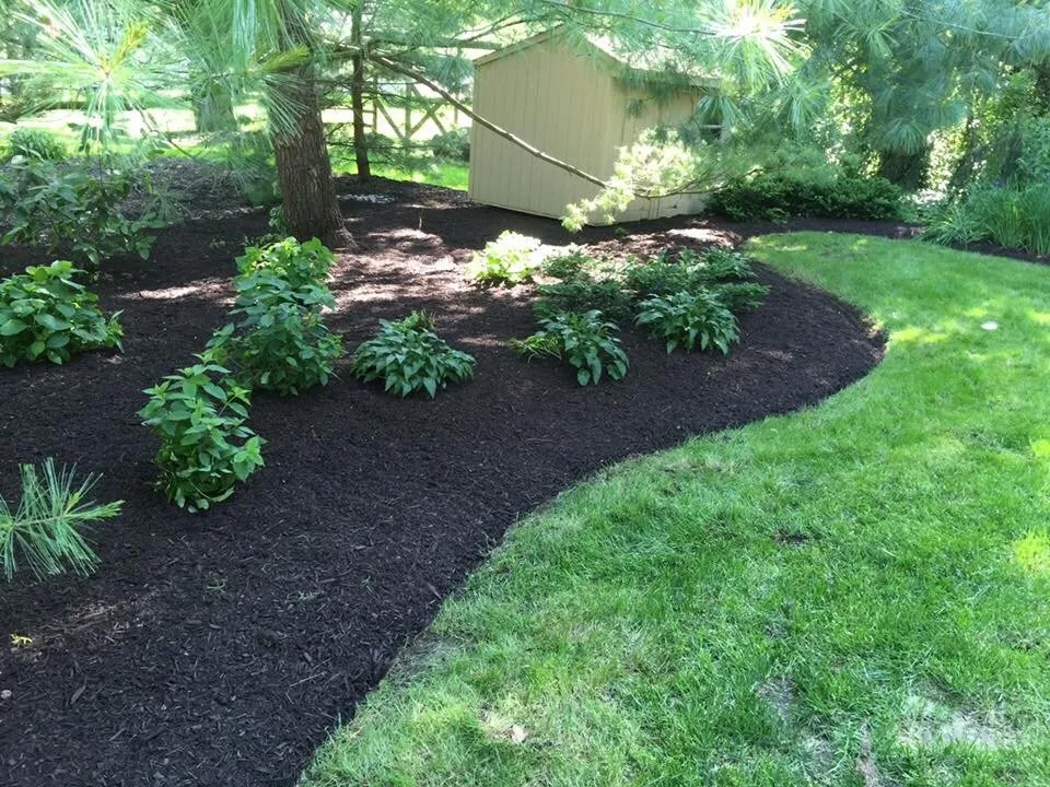 Custom landscaping services in Indianapolis, IN - Happy Tree & Landscaping