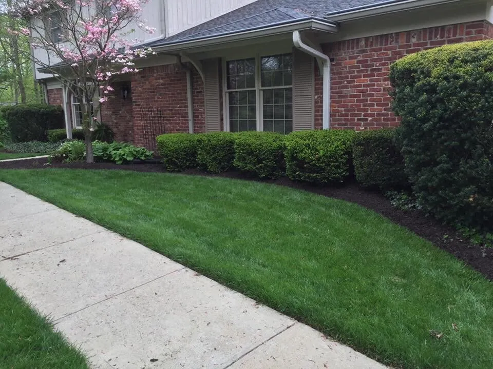 Reliable residential landscaping near you in Indianapolis, IN by Happy Tree & Landscaping