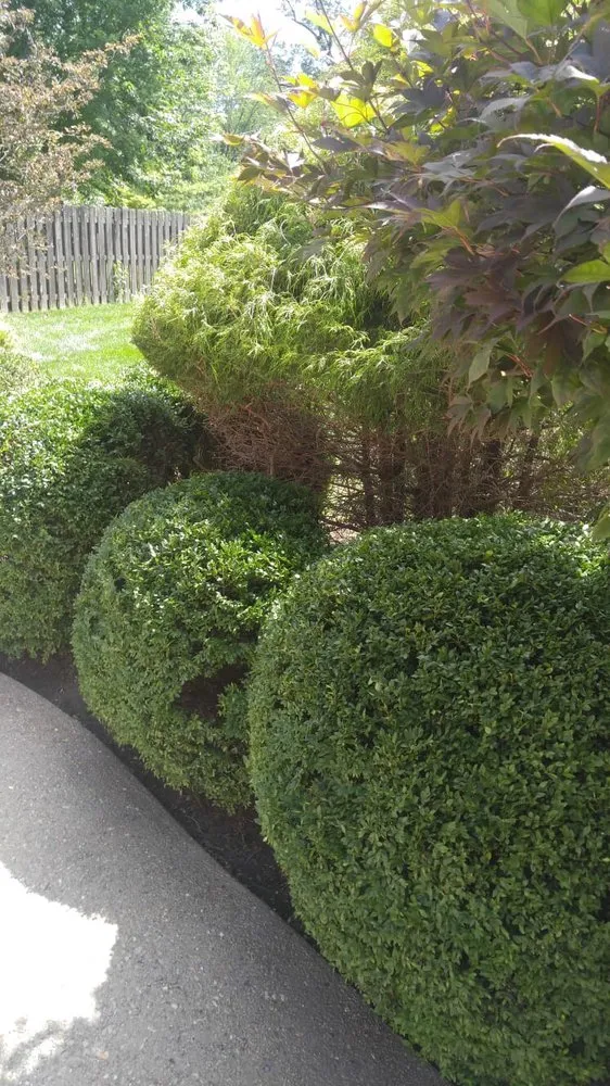 Local lawn mowing service for outdoor upgrades across Indianapolis, IN - Happy Tree & Landscaping