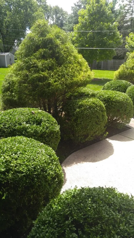 Custom yard maintenance in Indianapolis, IN by Happy Tree & Landscaping