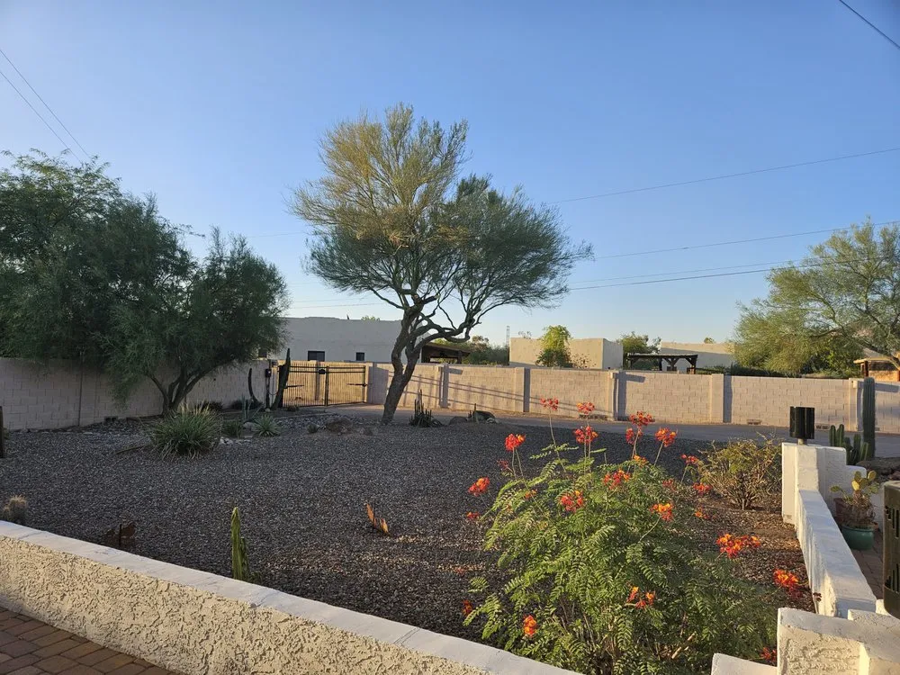 Affordable lawn mowing service in Mesa, AZ by Happy Tree Landscaping