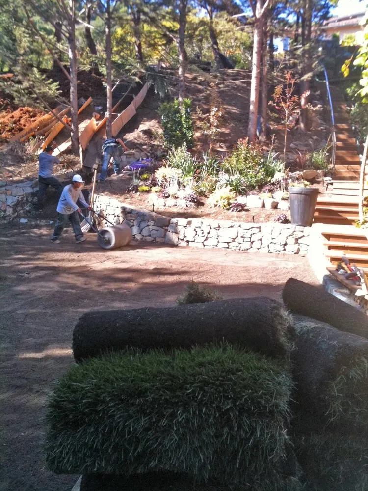 Professional lawn mowing service for year-round maintenance in Mill Valley, CA by Happy Tree