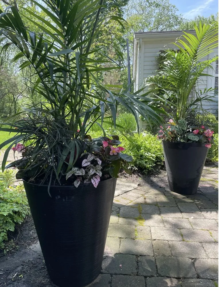 Trusted garden landscaping for residential properties in Fort Lauderdale, FL by Happy Trees