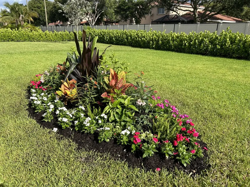 Affordable lawn mowing service for beautiful yards across Fort Lauderdale, FL - Happy Trees