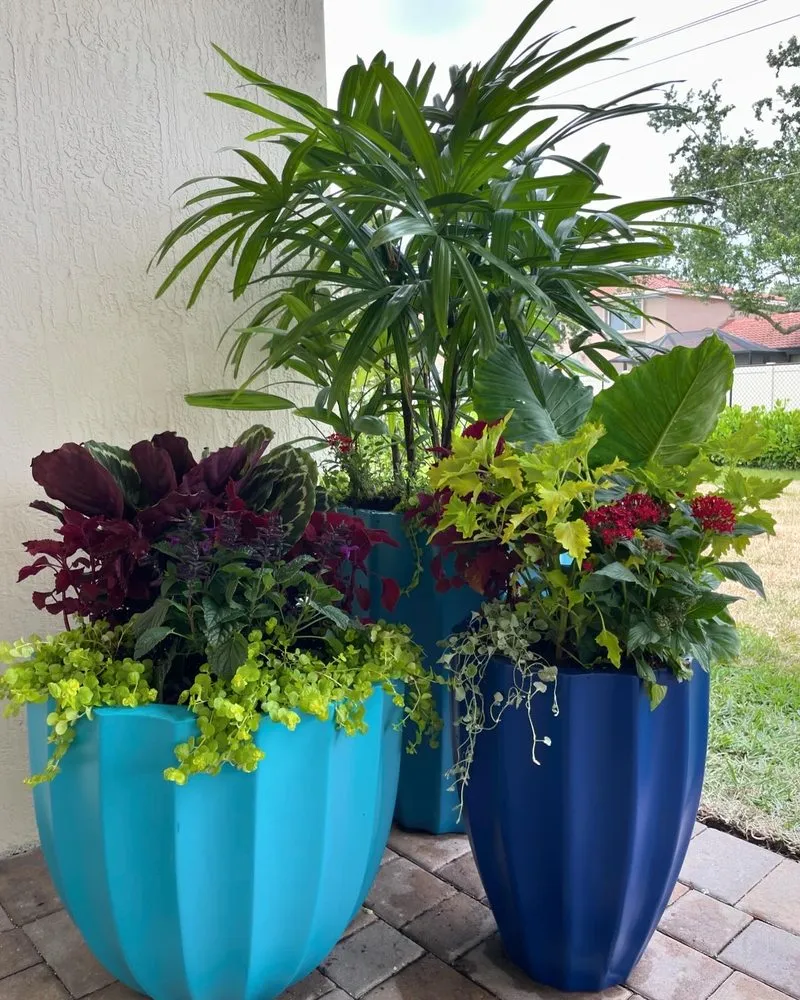 Trusted outdoor landscaping near you across Fort Lauderdale, FL - Happy Trees