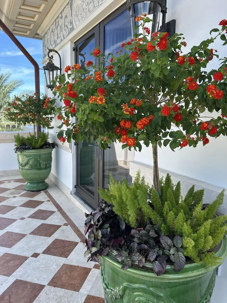 Top-rated garden landscaping experts serving Fort Lauderdale, FL - Happy Trees