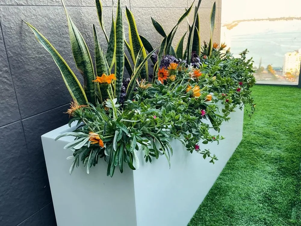 Reliable landscape installation for residential properties in Fort Lauderdale, FL by Happy Trees