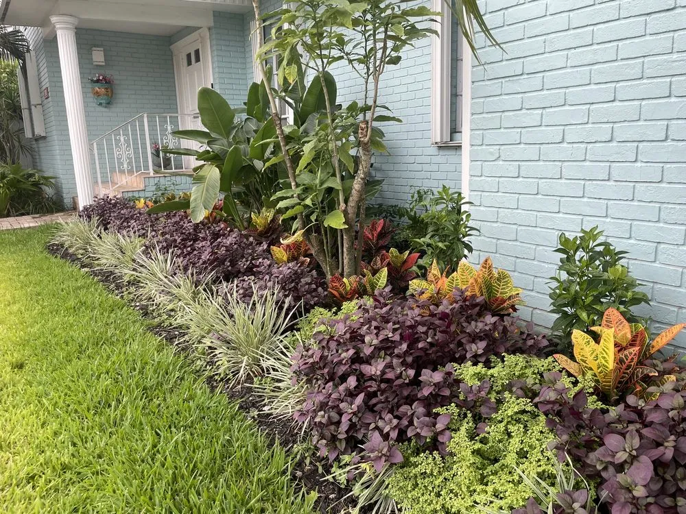 Affordable garden landscaping for outdoor upgrades in Fort Lauderdale, FL by Happy Trees