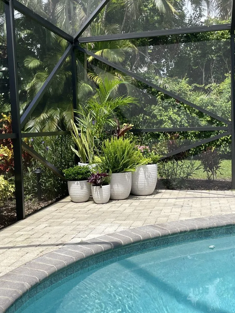 Top-rated lawn care service in Fort Lauderdale, FL - Happy Trees