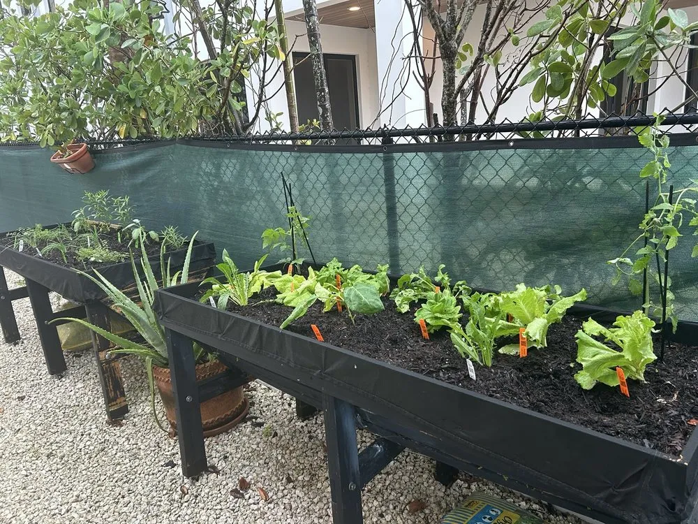 Trusted yard maintenance in Fort Lauderdale, FL - Happy Trees