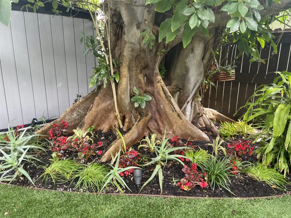 Affordable outdoor landscaping with custom design across Fort Lauderdale, FL - Happy Trees