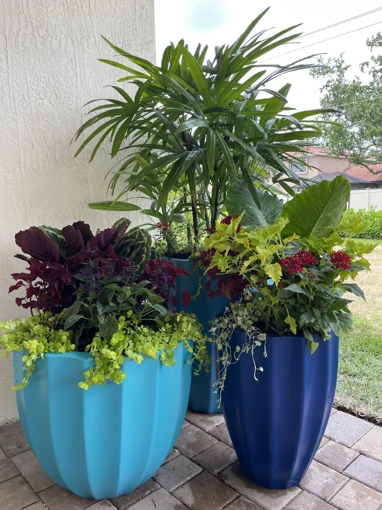 Professional outdoor landscaping for beautiful yards across Fort Lauderdale, FL - Happy Trees