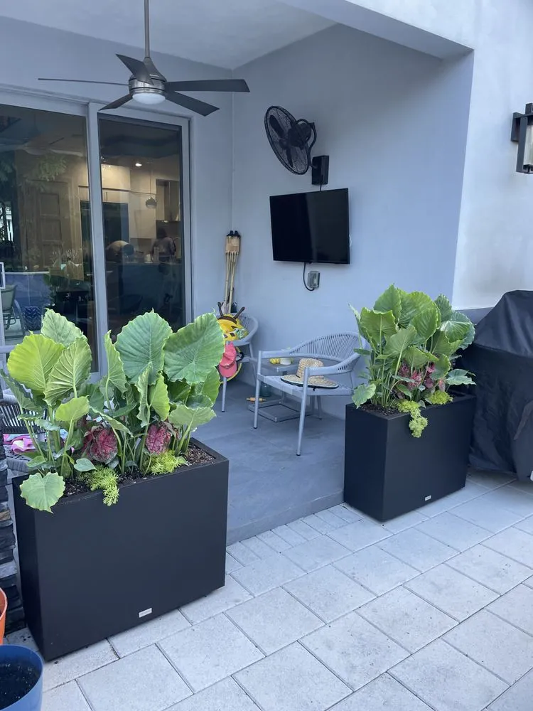 Reliable lawn mowing service in Fort Lauderdale, FL by Happy Trees