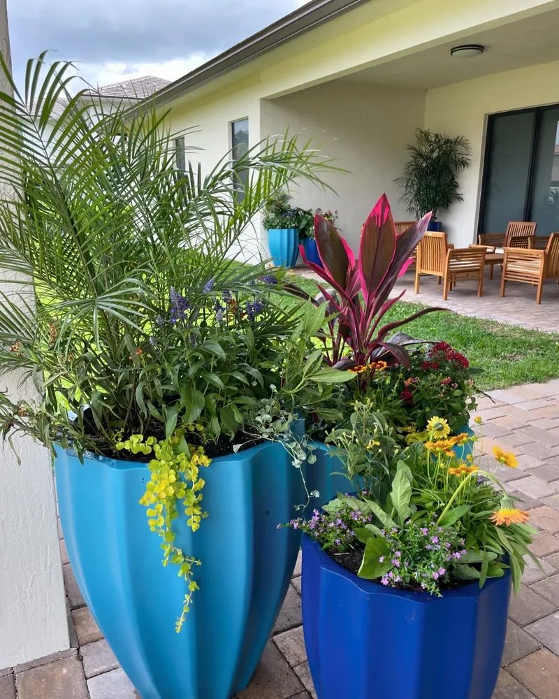 Local yard maintenance in Fort Lauderdale, FL - Happy Trees