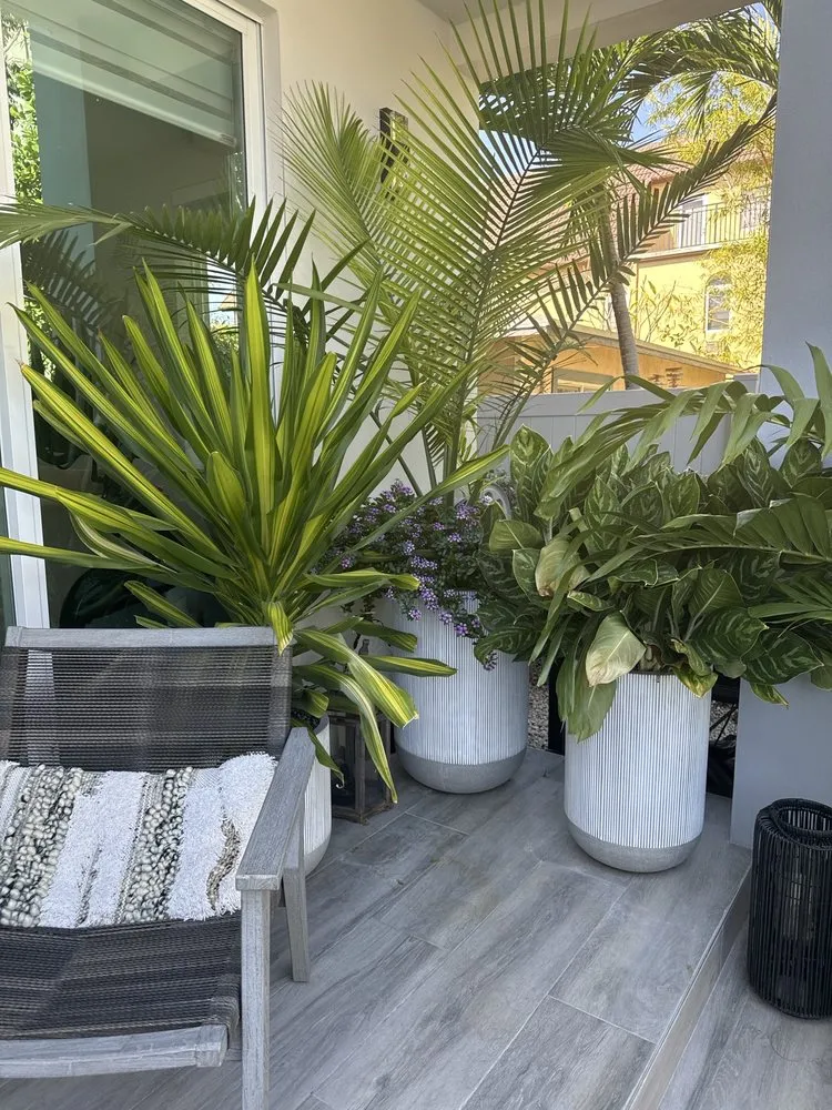 Expert outdoor landscaping in Fort Lauderdale, FL - Happy Trees