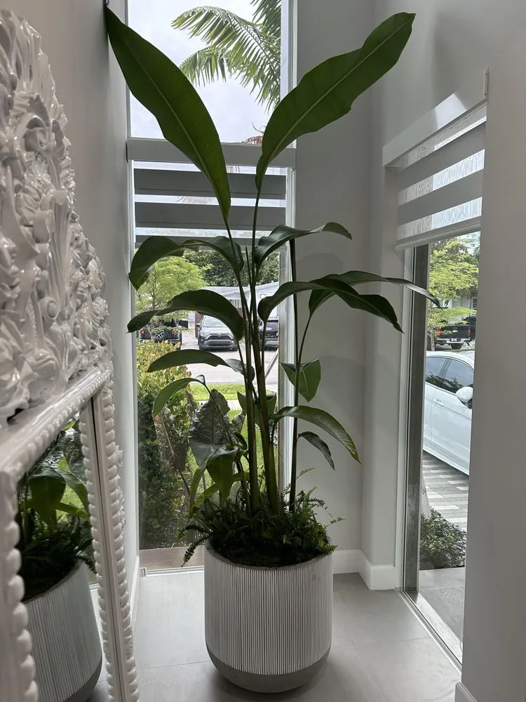 Custom yard maintenance near you in Fort Lauderdale, FL by Happy Trees