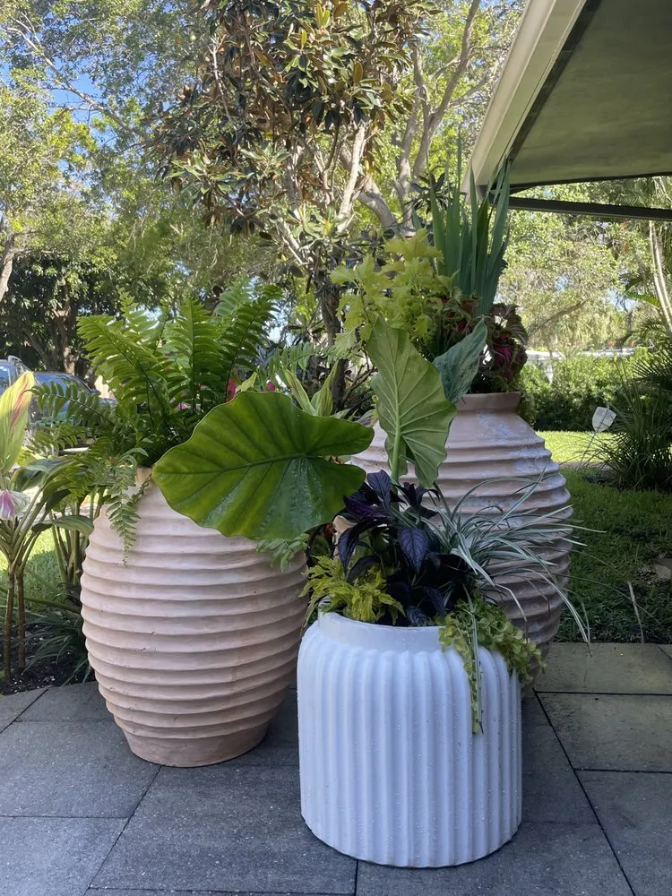 Professional lawn mowing service in Fort Lauderdale, FL - Happy Trees