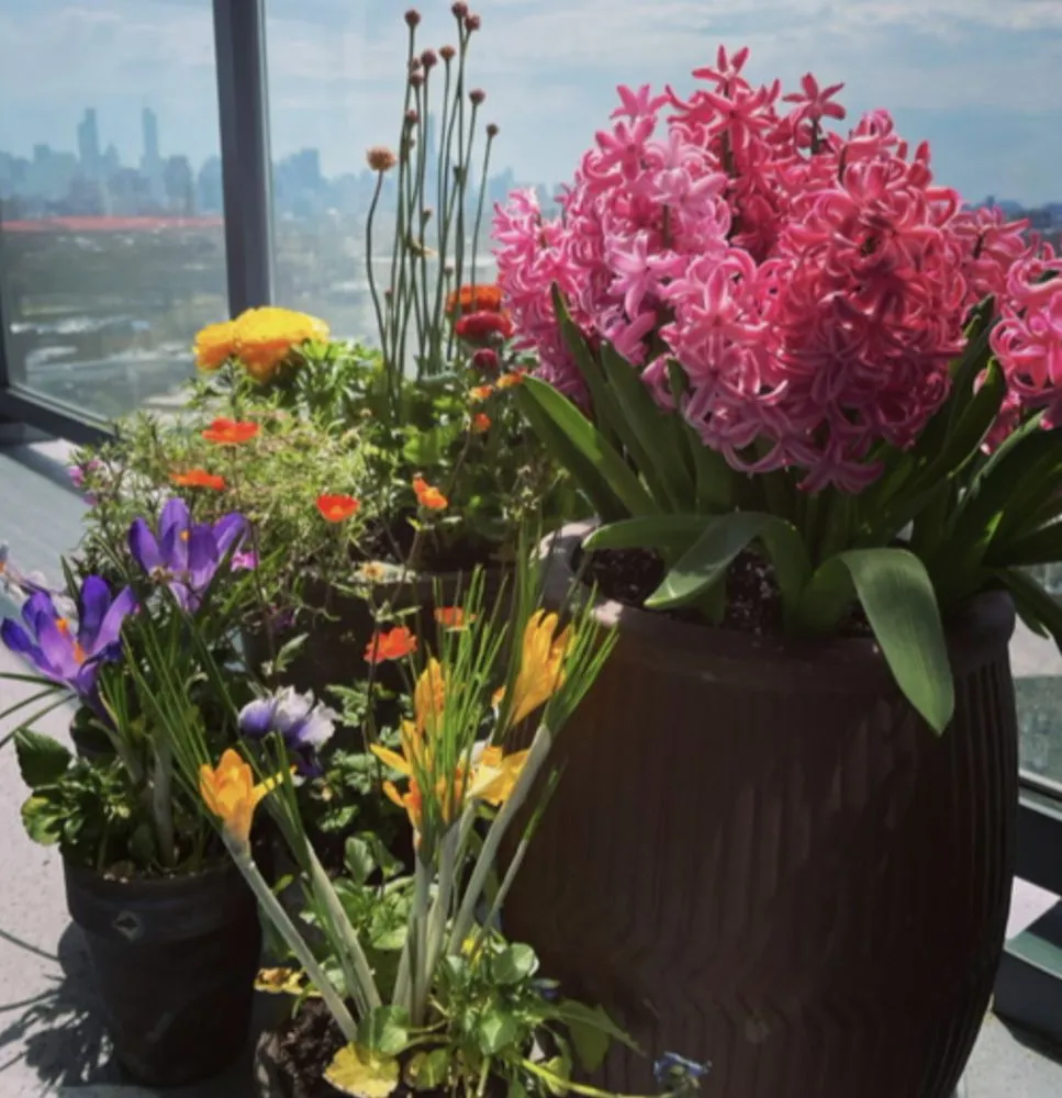 Local yard maintenance in Fort Lauderdale, FL - Happy Trees