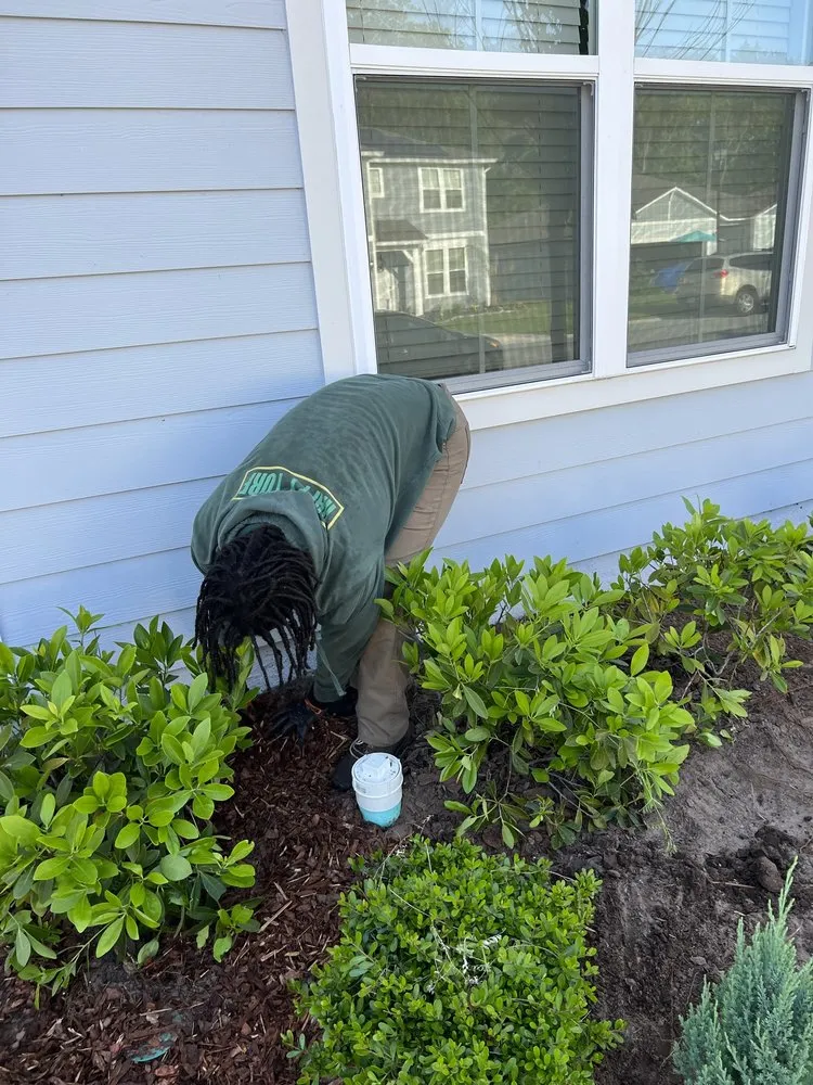 Top-rated lawn mowing service experts serving Jacksonville, FL - Happy Turf