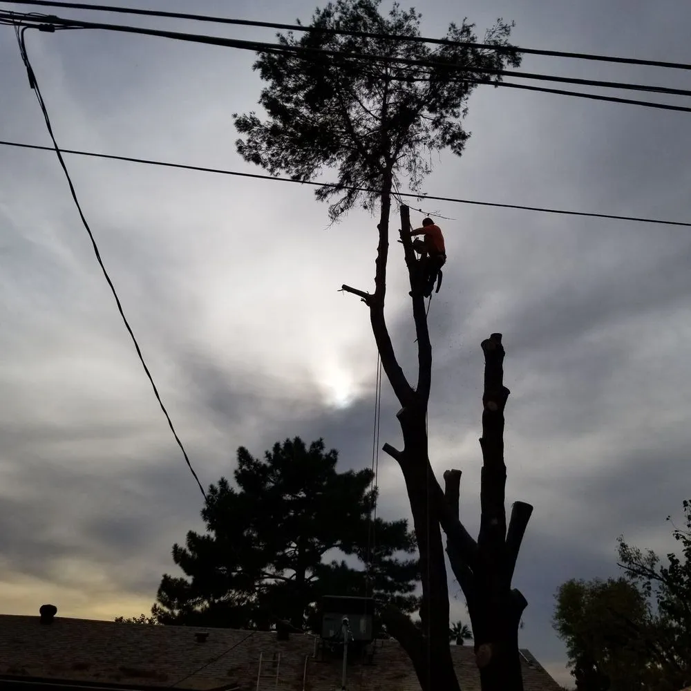 Top-rated landscaping services for year-round maintenance across Mayer, AZ - Happy Valley Landscaping