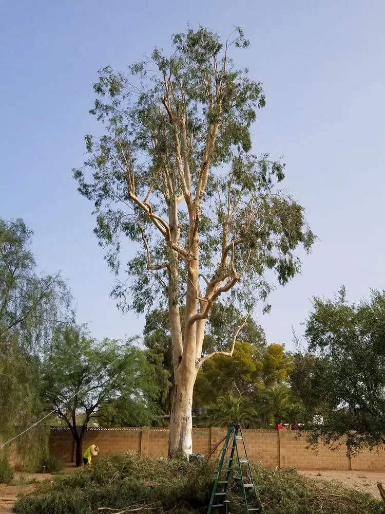 Reliable landscape design experts serving Mayer, AZ - Happy Valley Landscaping