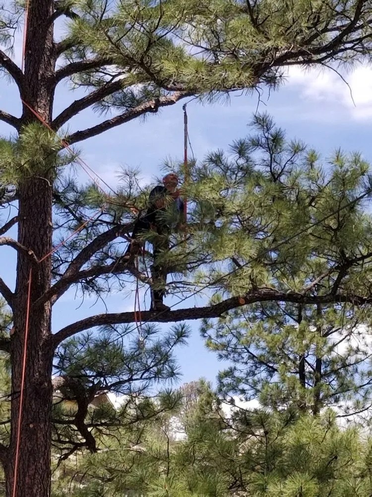 Expert lawn mowing service experts serving Mayer, AZ - Happy Valley Landscaping