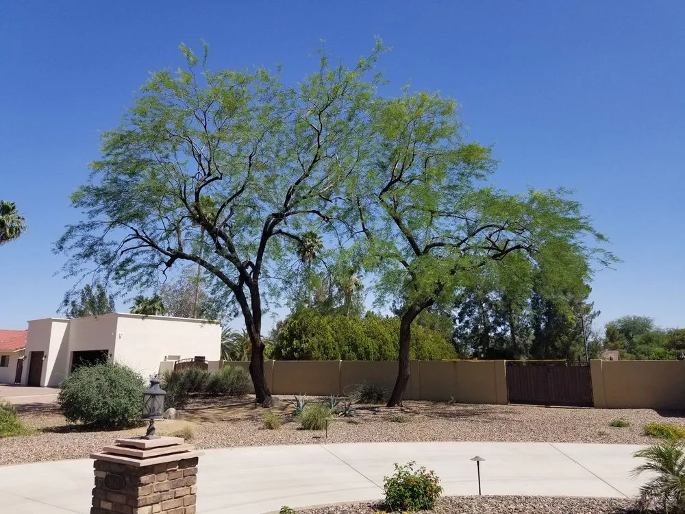 Local landscape design in Mayer, AZ - Happy Valley Landscaping