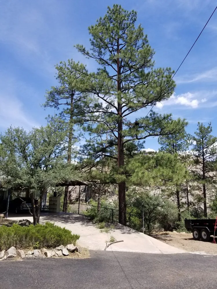 Top-rated yard maintenance experts serving Mayer, AZ - Happy Valley Landscaping