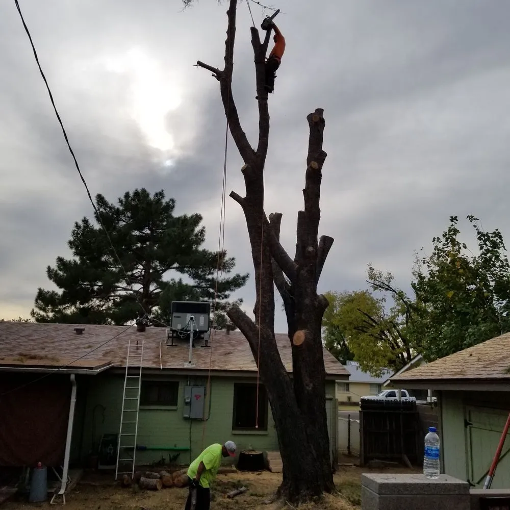 Affordable yard cleanup service with custom design across Mayer, AZ - Happy Valley Landscaping