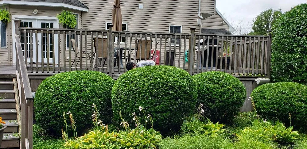 Top-rated lawn mowing service for homes in Bayville, NJ by Happy wife Happy Life Landscaping
